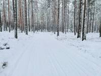 Bild uppladdad av MJ