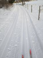 Bild uppladdad av Jan Wästvind