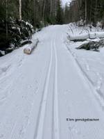 Bild uppladdad av Spårfotografen