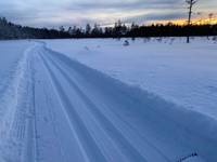 Bild uppladdad av Anonym