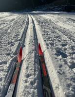 Bild uppladdad av Anonym