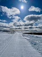 Bild uppladdad av Sanna