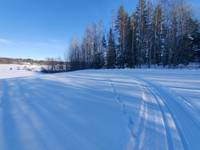 Bild uppladdad av Mattias