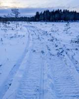 Bild uppladdad av Bytorpsföreningen