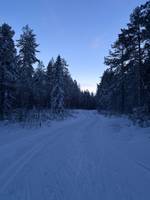 Bild uppladdad av Sanna