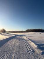 Bild uppladdad av Sanna