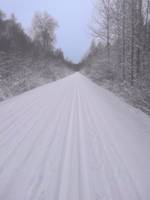 Bild uppladdad av Ylva