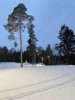 Bild uppladdad av Sofia